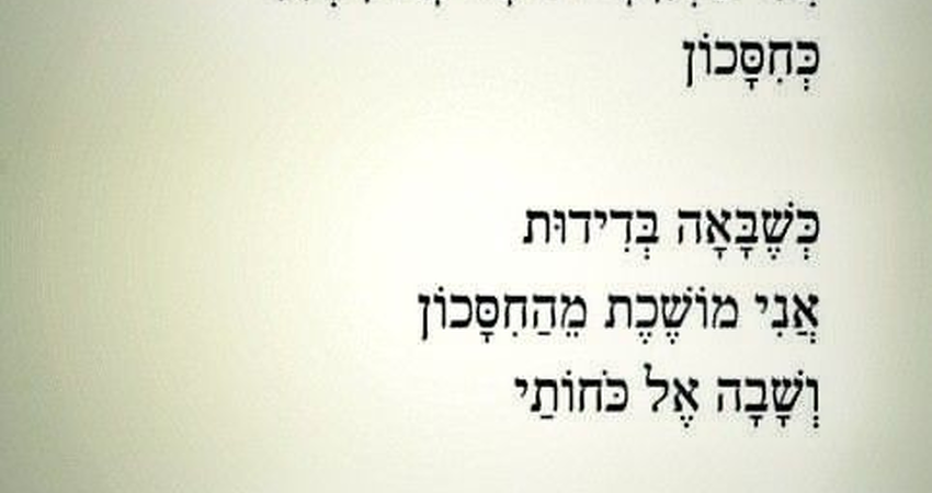 חסכונות / שיבטה טויו