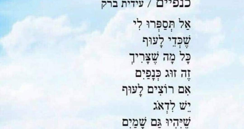 כנפיים / עידית ברק