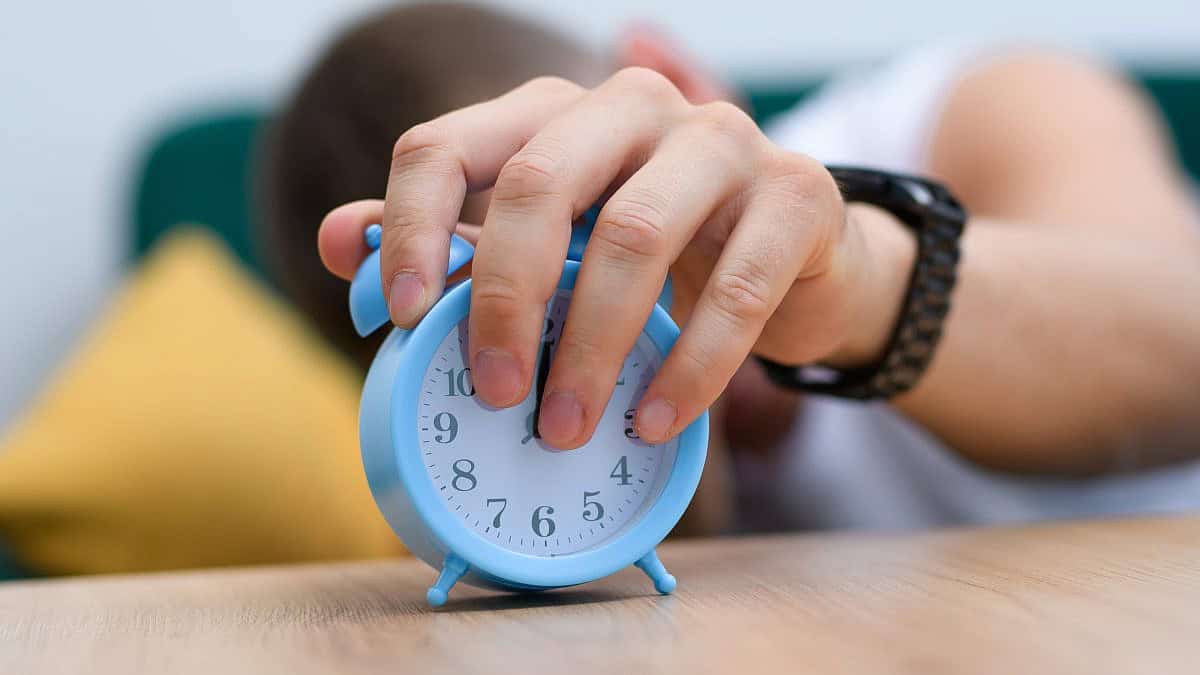 צילום: Shutterstock צילום: Shutterstock