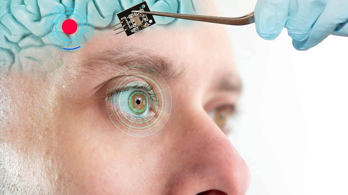 הדמיה: Shutterstock הדמיה: Shutterstock