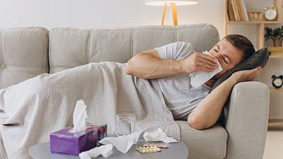צילום: Shutterstock צילום: Shutterstock