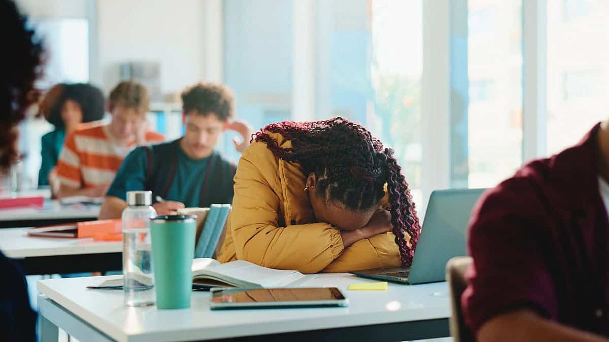צילום: Shutterstock צילום: Shutterstock