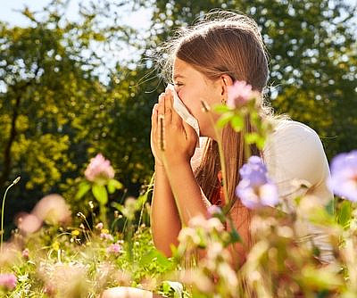 צילום: Shutterstock