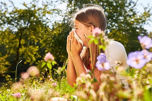 צילום: Shutterstock צילום: Shutterstock