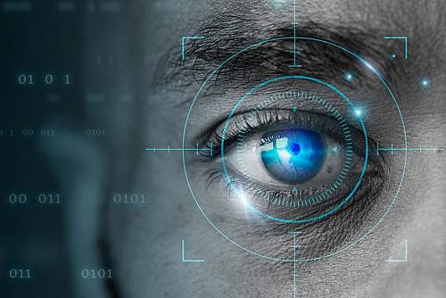 צילום: Shutterstock צילום: Shutterstock
