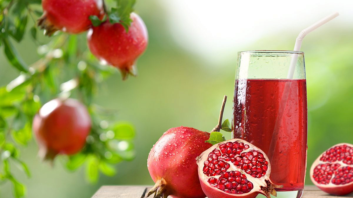 צילום: Shutterstock צילום: Shutterstock