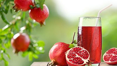 צילום: Shutterstock צילום: Shutterstock