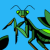 shlevss720-gmail.com