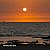 Yael Haver
