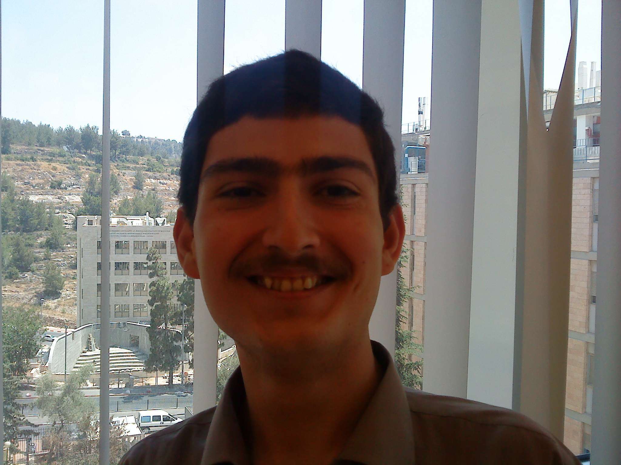 מיכאל לויט