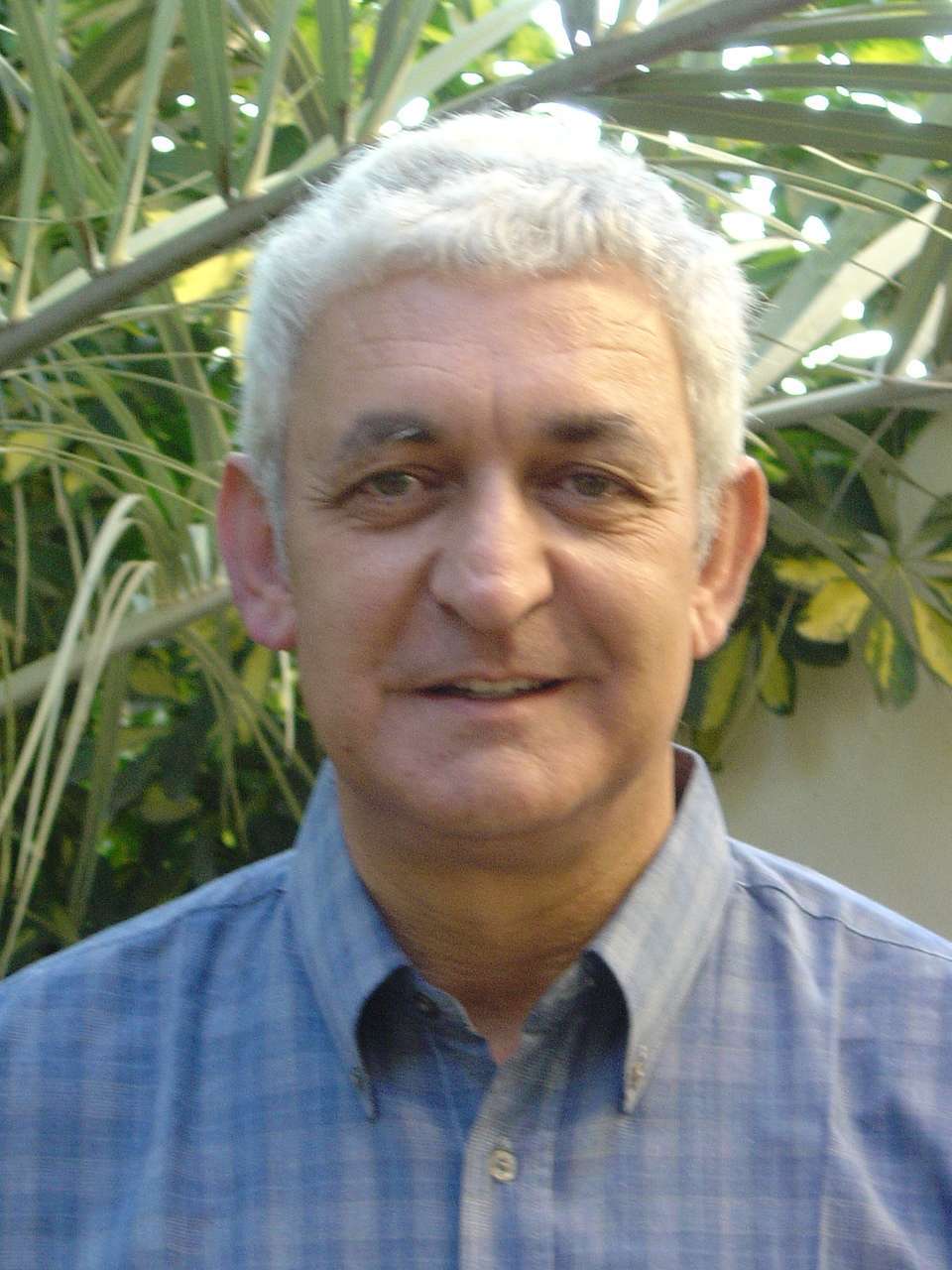 מיכה מורן