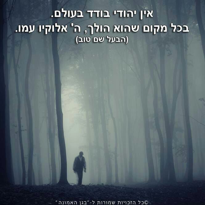 עופר6