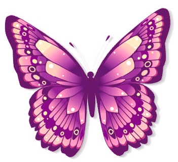 Butterfly 1