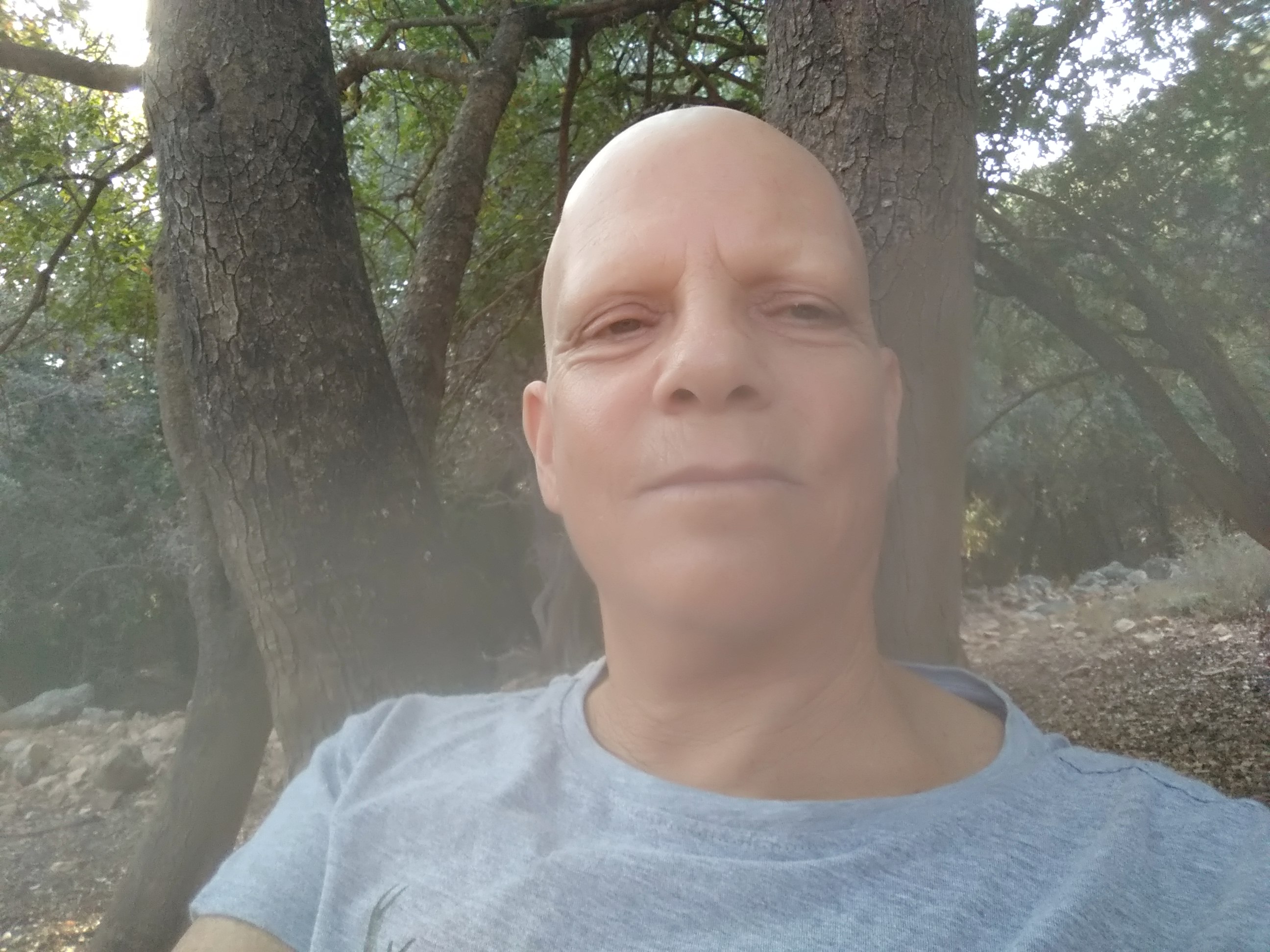 חגית סימן-טוב