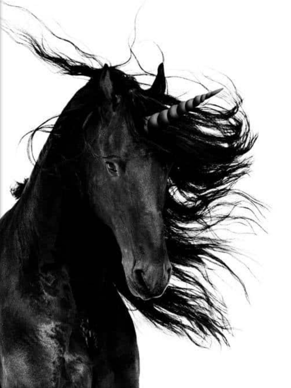Blackunicorn