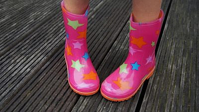 (צילום: Shutterstock)