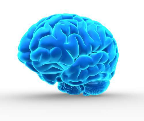 (צילום: Shutterstock) (צילום: Shutterstock)