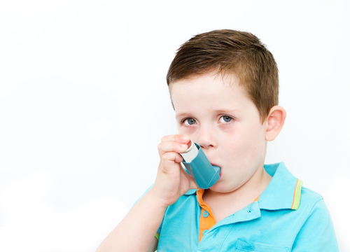 (צילום: Shutterstock) (צילום: Shutterstock)