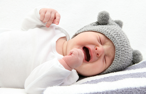 (צילום: Shutterstock) (צילום: Shutterstock)