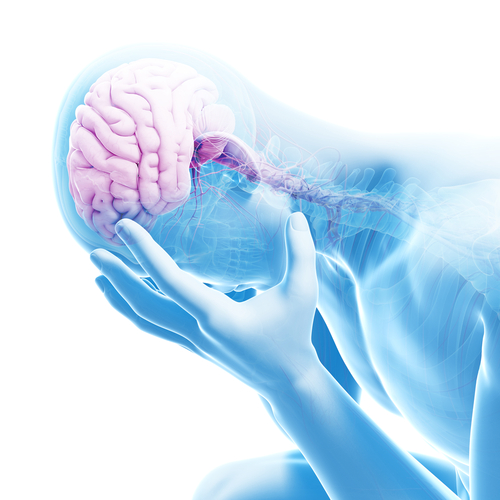 (צילום: Shutterstock) (צילום: Shutterstock)