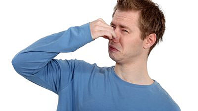 (צילום: Shutterstock)