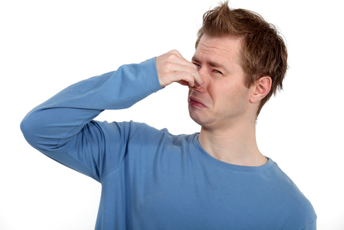 (צילום: Shutterstock) (צילום: Shutterstock)