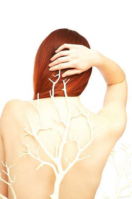 (צילום: Shutterstock) (צילום: Shutterstock)