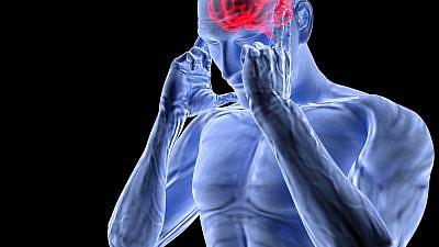 (צילום: Shutterstock)