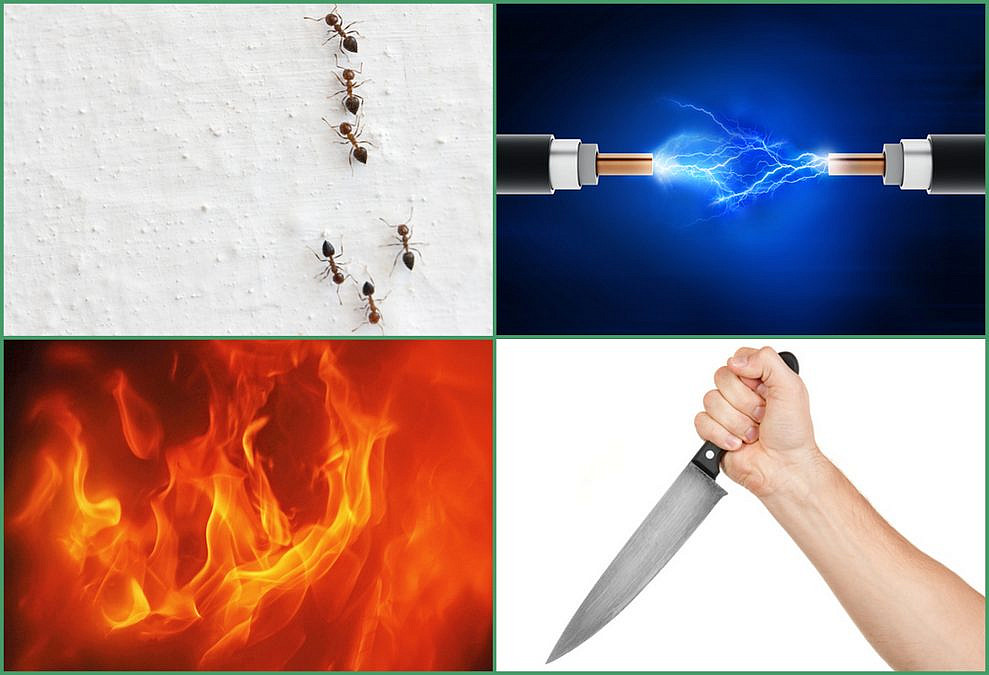 (תמונות: Shutterstock) (תמונות: Shutterstock)