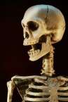 (צילום: Shutterstock) (צילום: Shutterstock)