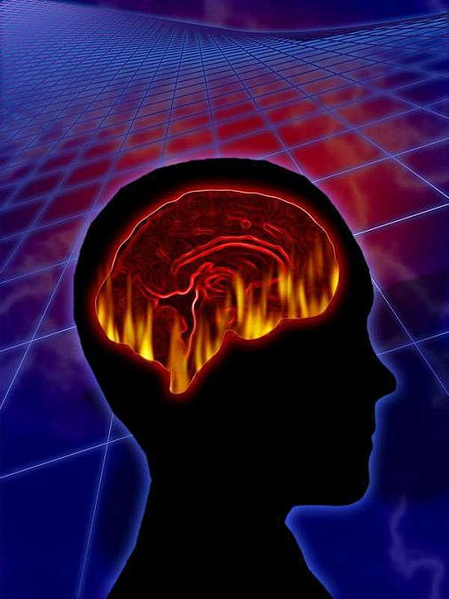 (צילום: Shutterstock)
