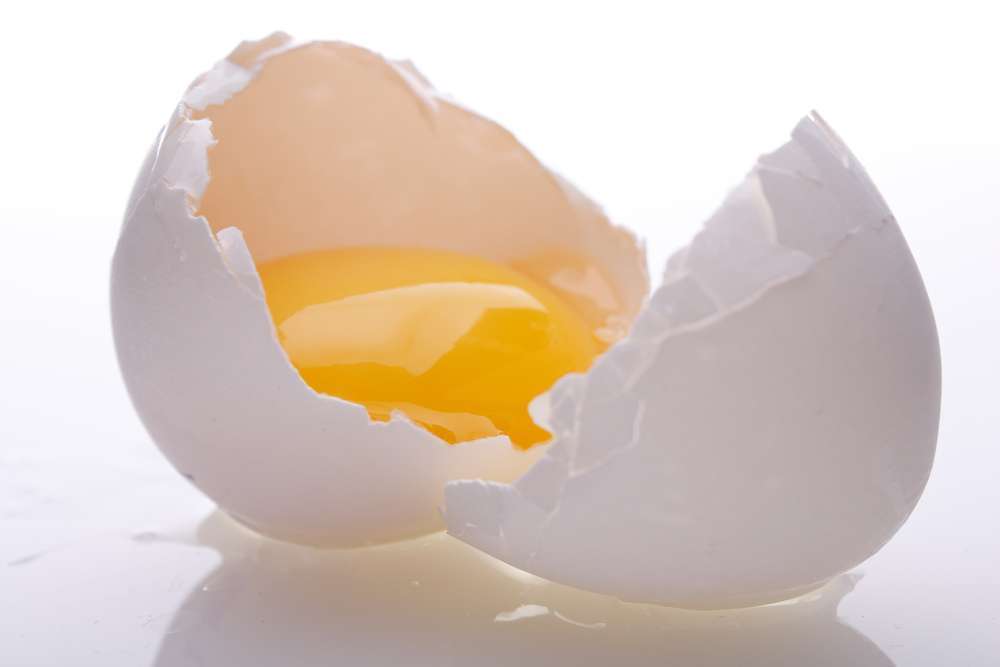 ביצה: אחד המאכלים המושלמים של הטבע (צילום: Shutterstock)