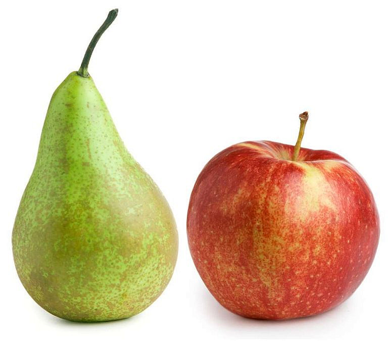 אכילת כמויות גדולות של תפוחים או אגסים עשויה להפחית את הסיכון לשבץ (צילום: Shutterstock)
