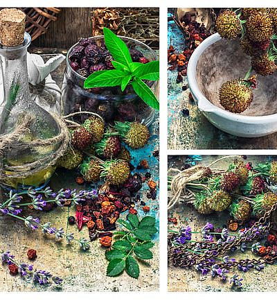 (צילום: Shutterstock)