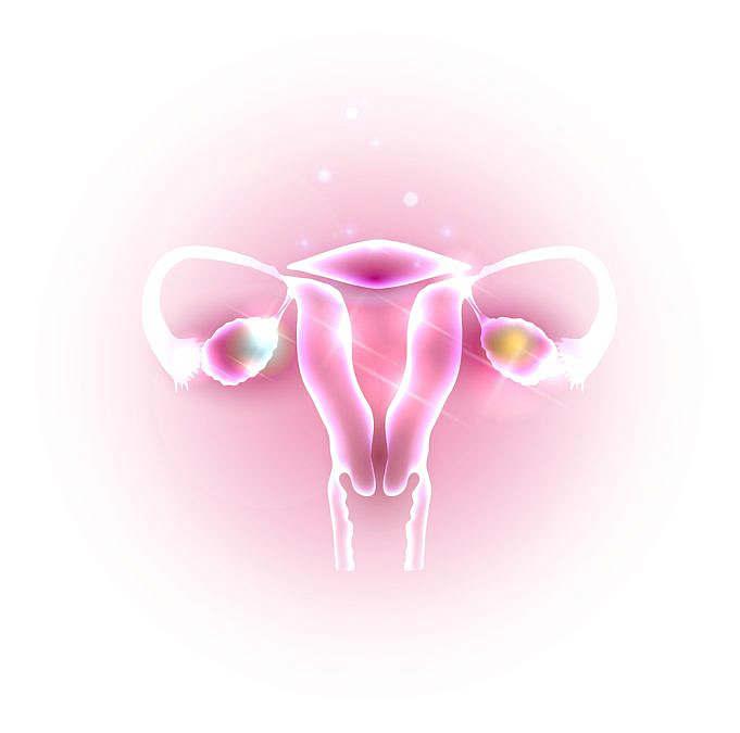 (צילום: shutterstock)