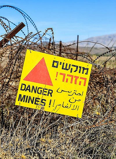 (צילום: shutterstock)