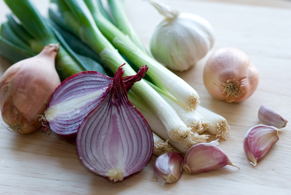 (צילום: shutterstock) (צילום: shutterstock)