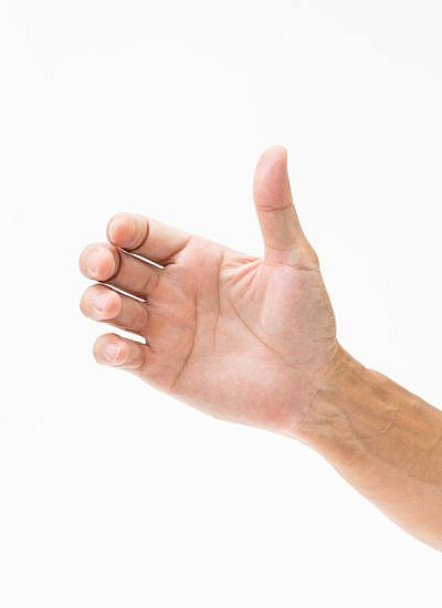 (צילום: shutterstock)