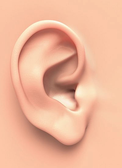 (צילום: shutterstock) (צילום: shutterstock)