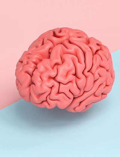 (צילום: shutterstock)