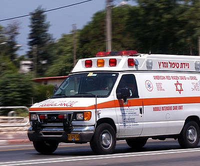 (צילום: shutterstock) (צילום: shutterstock)