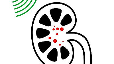 (איור: shutterstock)