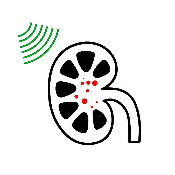 (איור: shutterstock) (איור: shutterstock)