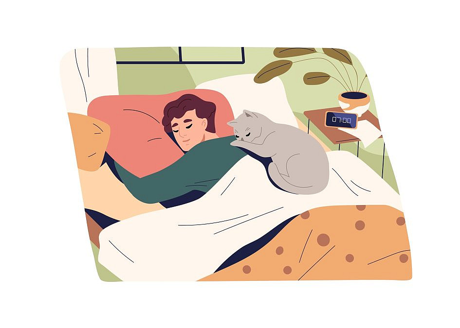 (צילום: shutterstock) (צילום: shutterstock)